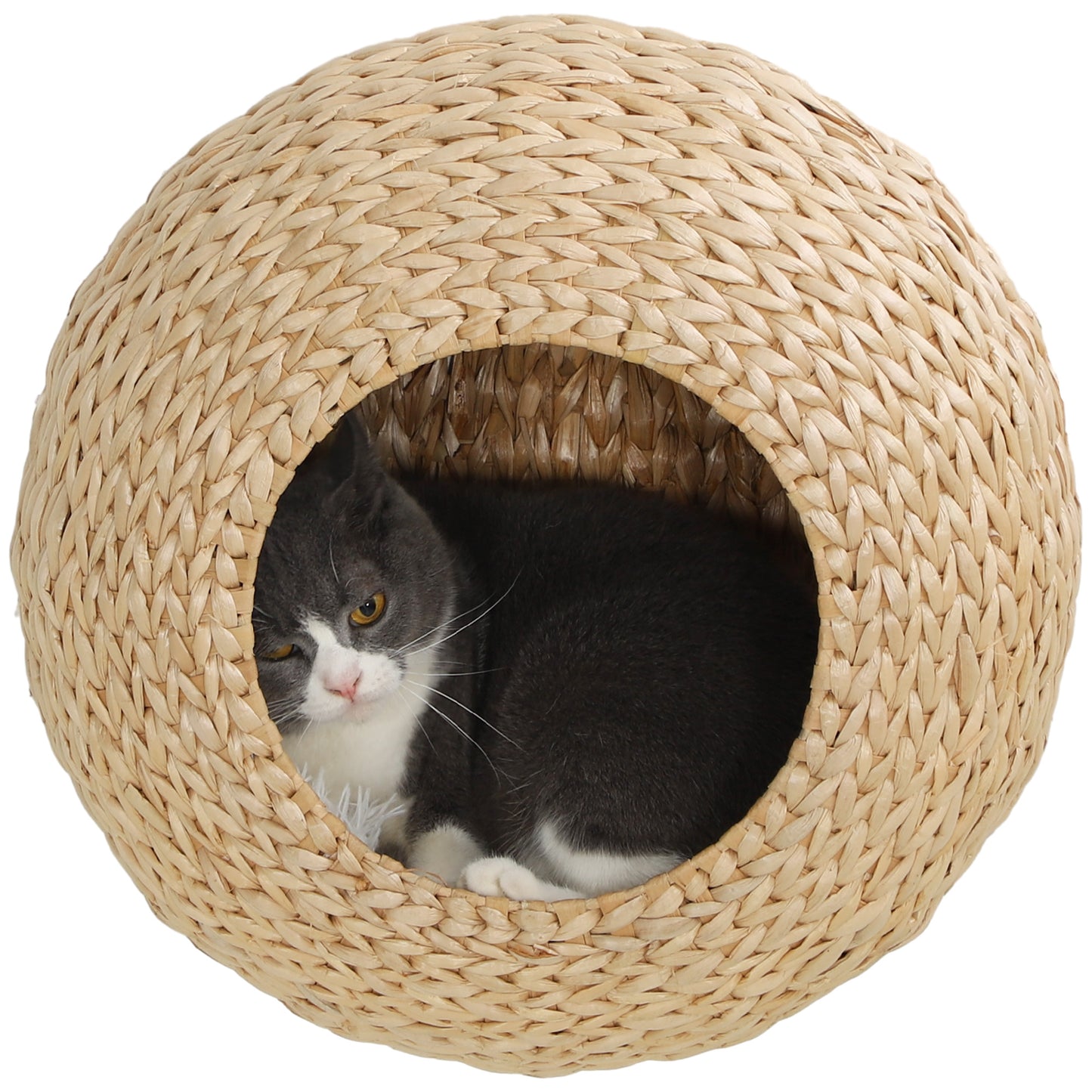 Wood Wall Mounted Cat Condo with Washable Cushion