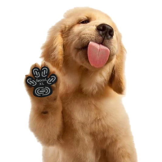 Anti-Slip Dog Paw Pads (4 Pieces) - Cidero & Co.