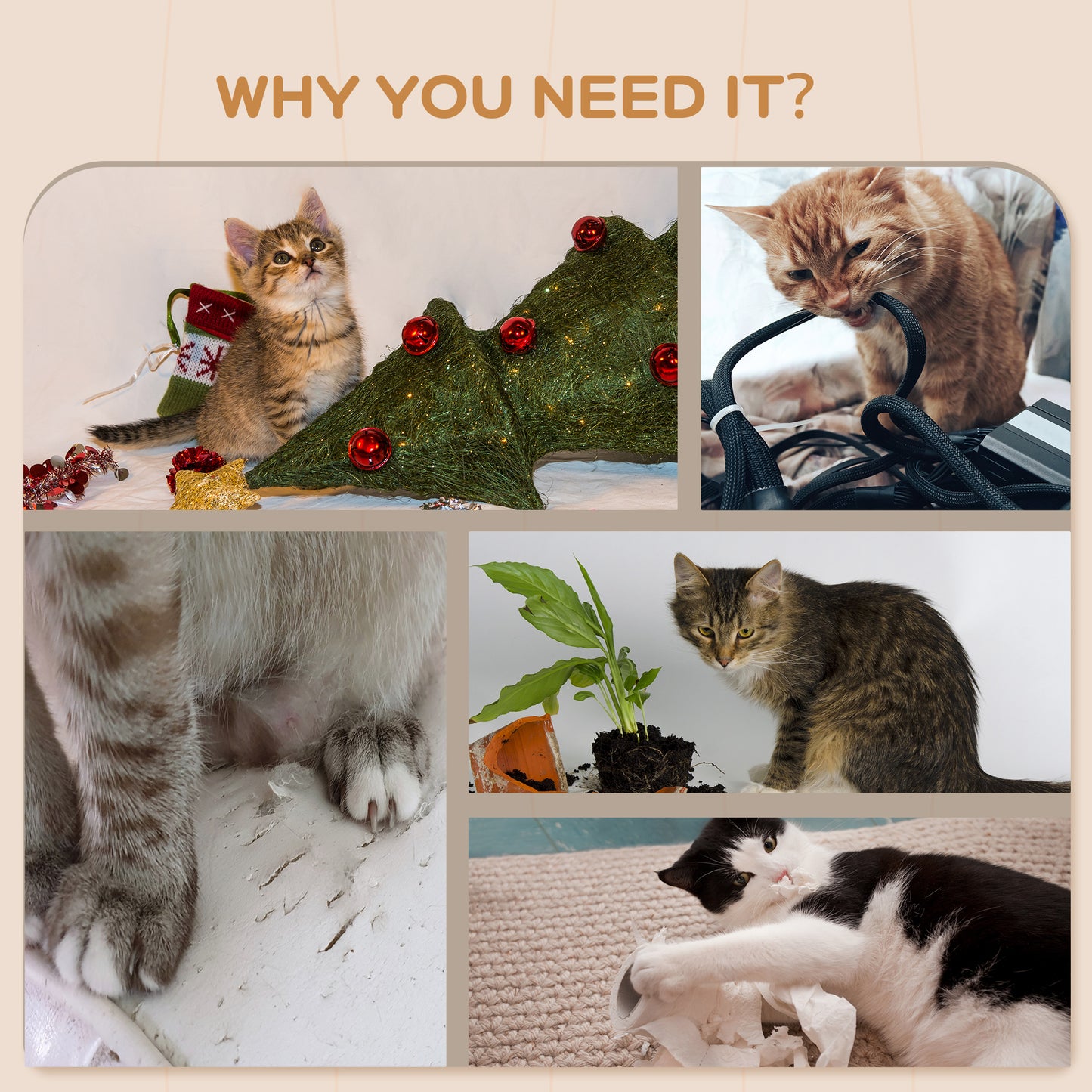 Wood Wall Mounted Cat Condo with Washable Cushion