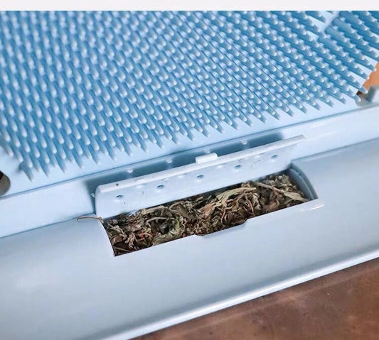 Cat Self Groomer Brush with Catnip