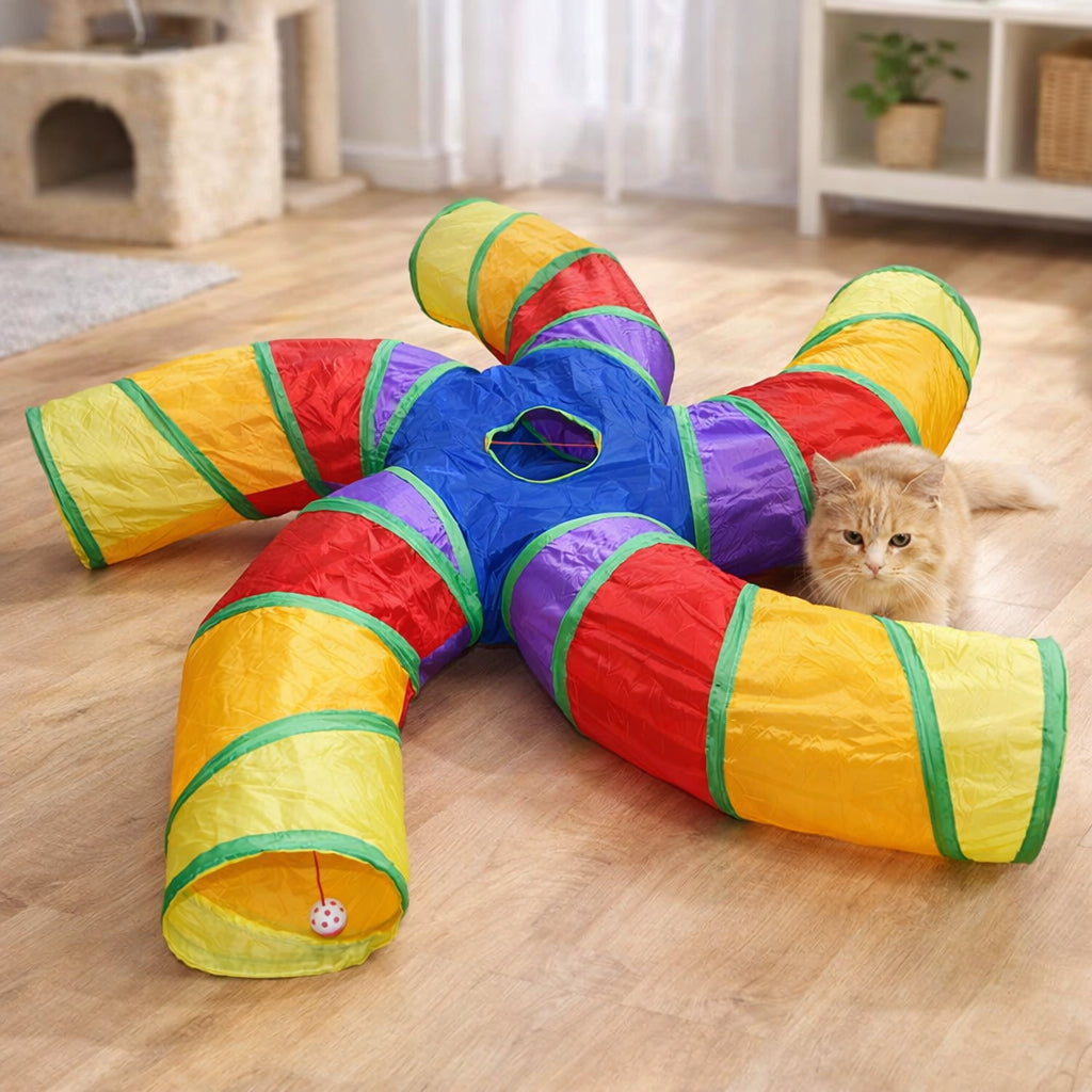 Rainbow Starfish Cat Tunnel