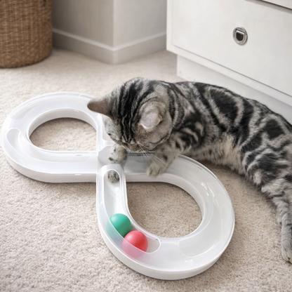 Cat playing with a white track toy on the floor