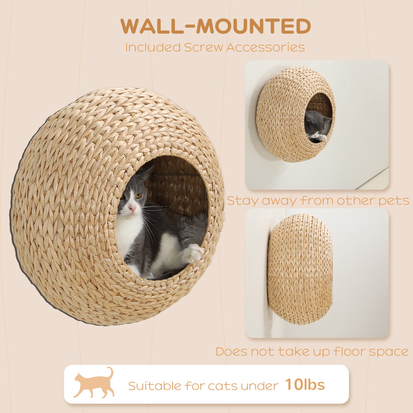 Wood Wall Mounted Cat Condo with Washable Cushion