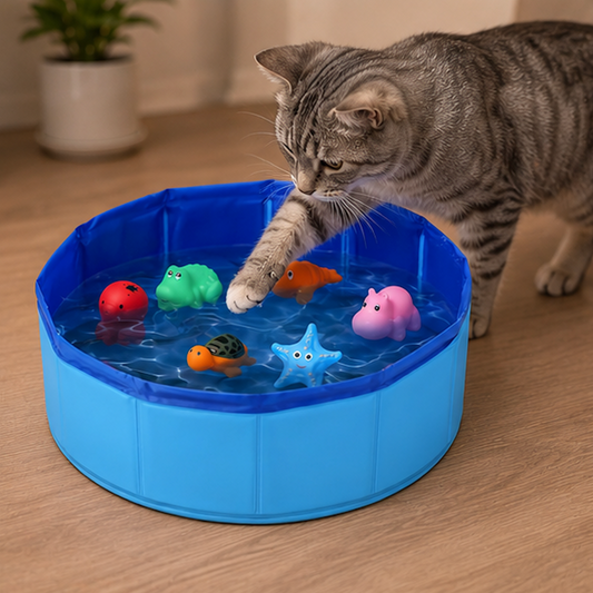A gray tabby cat reaches into a small blue collapsible plastic pool filled with water and colorful toy fish, on a wooden floor.