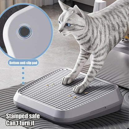 Double-Layer Cat Litter Catcher Ramp
