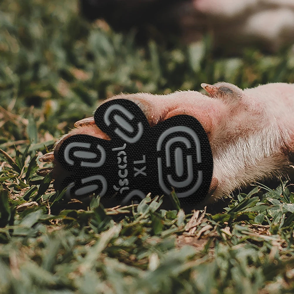 Anti-Slip Dog Paw Pads (4 Pieces) - Cidero & Co.