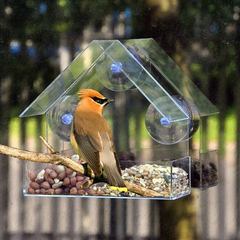 Window Bird Feeder with Suction Cup - Cidero & Co.