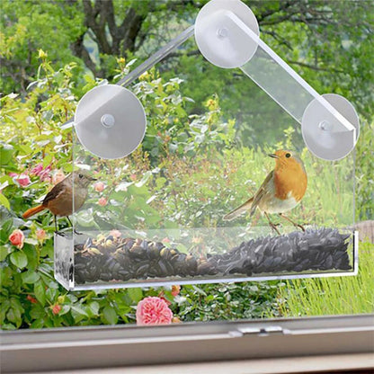 Window Bird Feeder with Suction Cup - Cidero & Co.