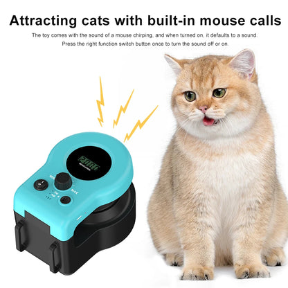 Interactive Cat Wheel Exerciser & Remote Control Toy - Cidero & Co.