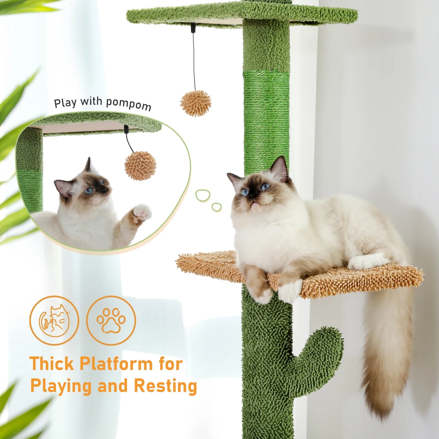 5-Tier Floor to Ceiling Cactus Cat Tree