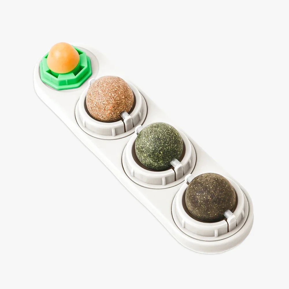 4-in-1 Catnip & Silvervine Ball Toy