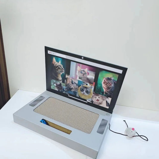 Computer Cat Scratch Board - Cidero & Co.