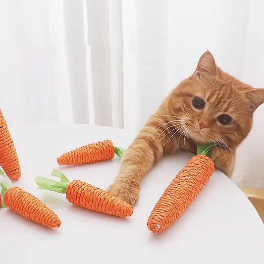 Cat Carrot Chew Toy - Cidero & Co.