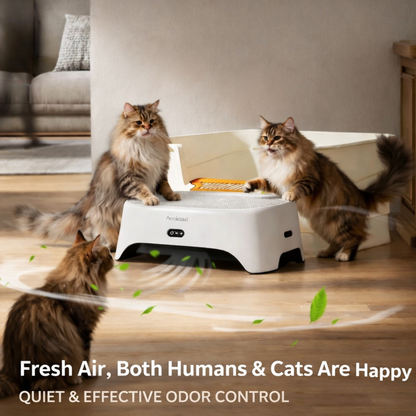 Cat Litter Box Ramp with Built-In Activated Carbon Deodorizer