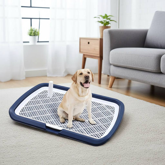 Large Dog Potty Training Toilet with Pee Post