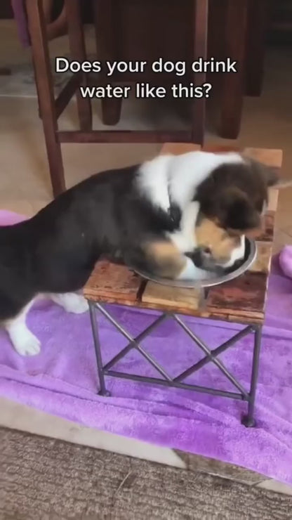 Anti-Splash Water Bowl – Large 1L No-Spill Pet Drinking Bowl