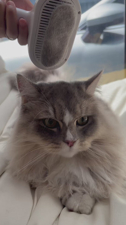 Steam Spray Grooming Comb for Dogs & Cats