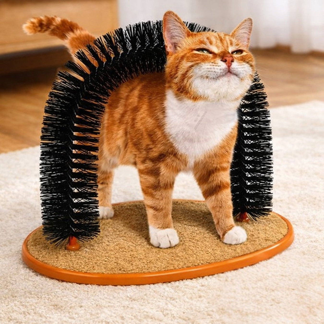 Cat Grooming Arch - Cidero & Co.